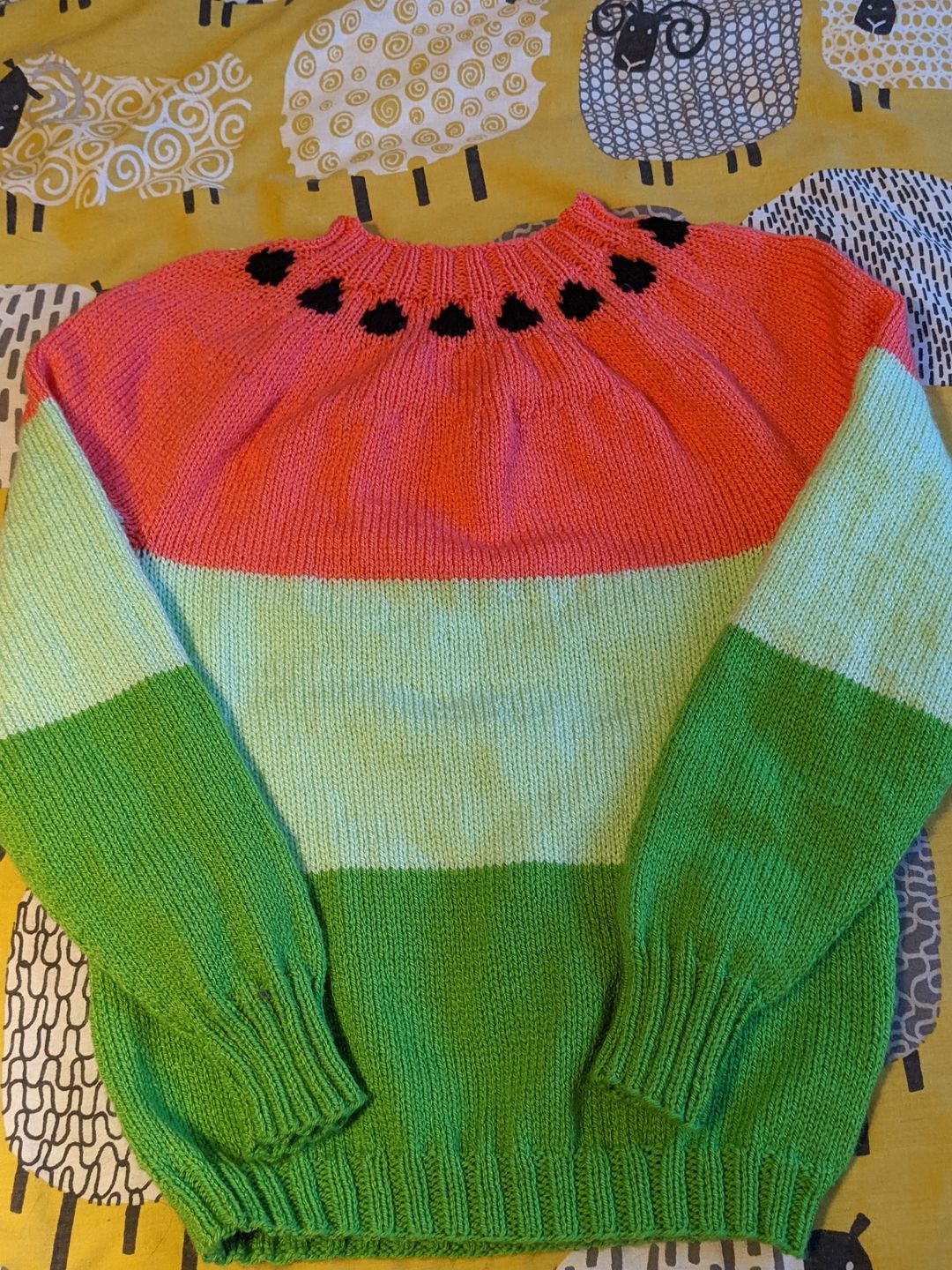Customer photo review of Stylecraft Special DK Knitting Yarn