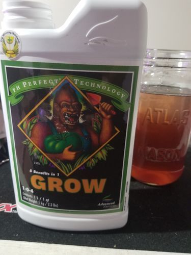 Customer photo review of Advanced Nutrients pH Perfect Grow