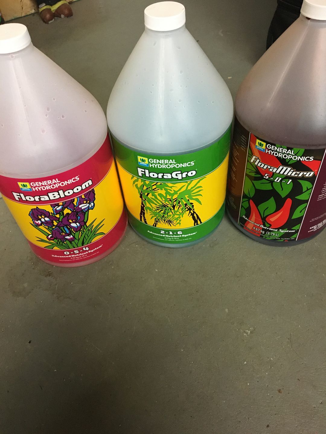 Customer photo review of General Hydroponics Flora Series Quart Bundle
