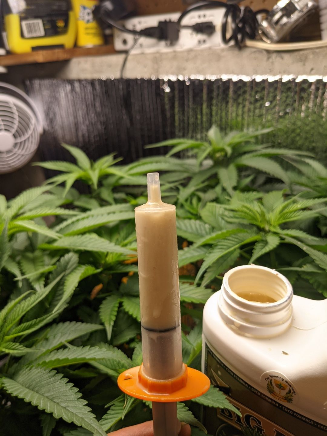Customer photo review of Advanced Nutrients Big Bud Liquid