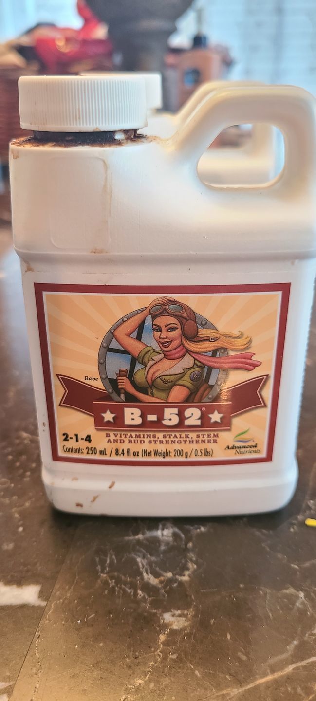 Customer photo review of Advanced Nutrients B-52
