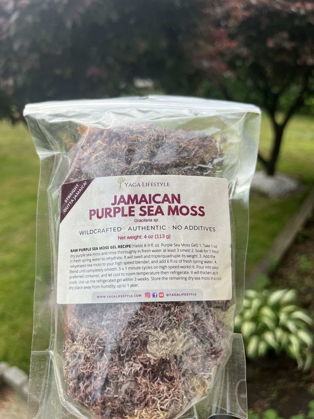 Customer photo review of Jamaican Purple Sea Moss