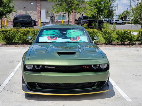 Customer photo review of Green Suspicious Cartoon Eyes Car Sunshade Custom Car Windshield Accessories