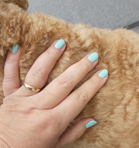 Customer photo review of Bluesky Gel Polish Summer 2022 - Come To Play - SS2217