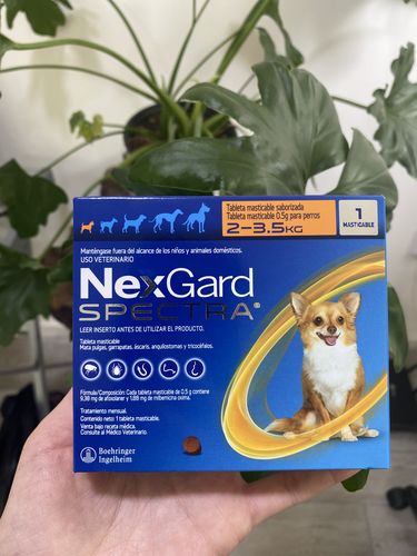 Customer photo review of NexGard Spectra®
