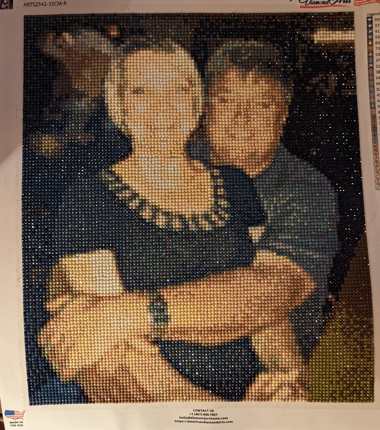 Customer photo review of Custom Diamond Painting Kits for Adults DIY 5D - Photo Diamond Art Shipped from USA