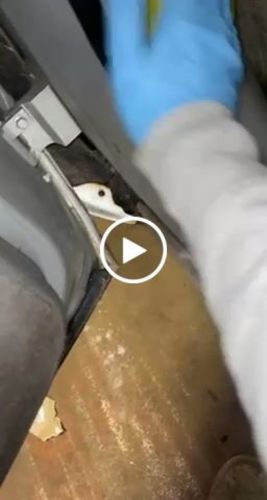 Customer video review of 4 Pack Absolute All Purpose Cleaner (1/2 Gallon)