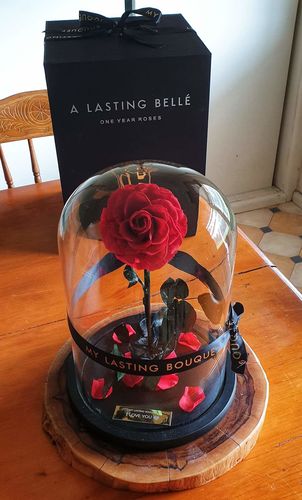 Customer photo review of Red Lasting Belle