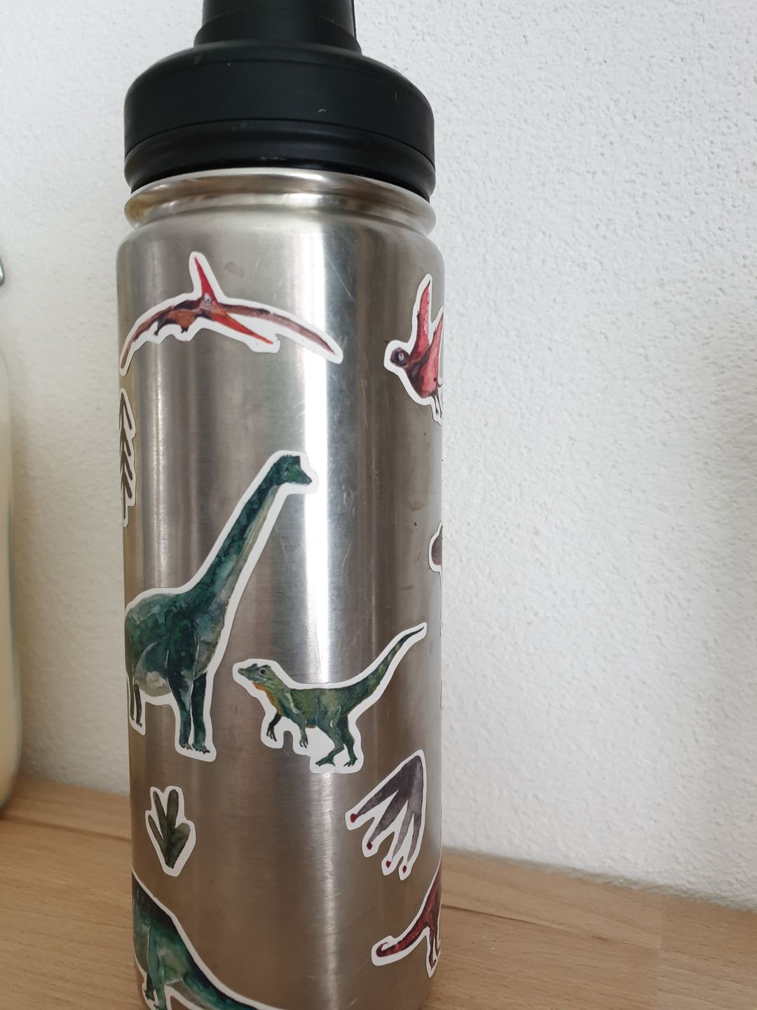 Customer photo review of spülmaschinenfeste Sticker Dinos