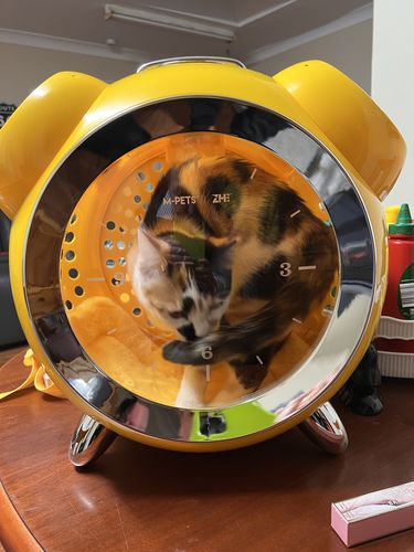 Customer photo review of Alarm Clock Pet Carrier Shoulder Bag