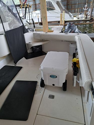 Customer photo review of NSUB