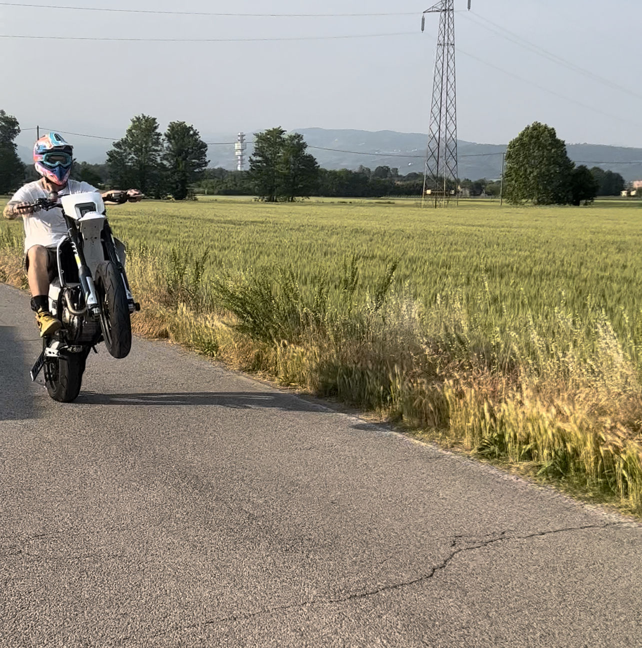 Customer photo review of ABS Wheelie Bar