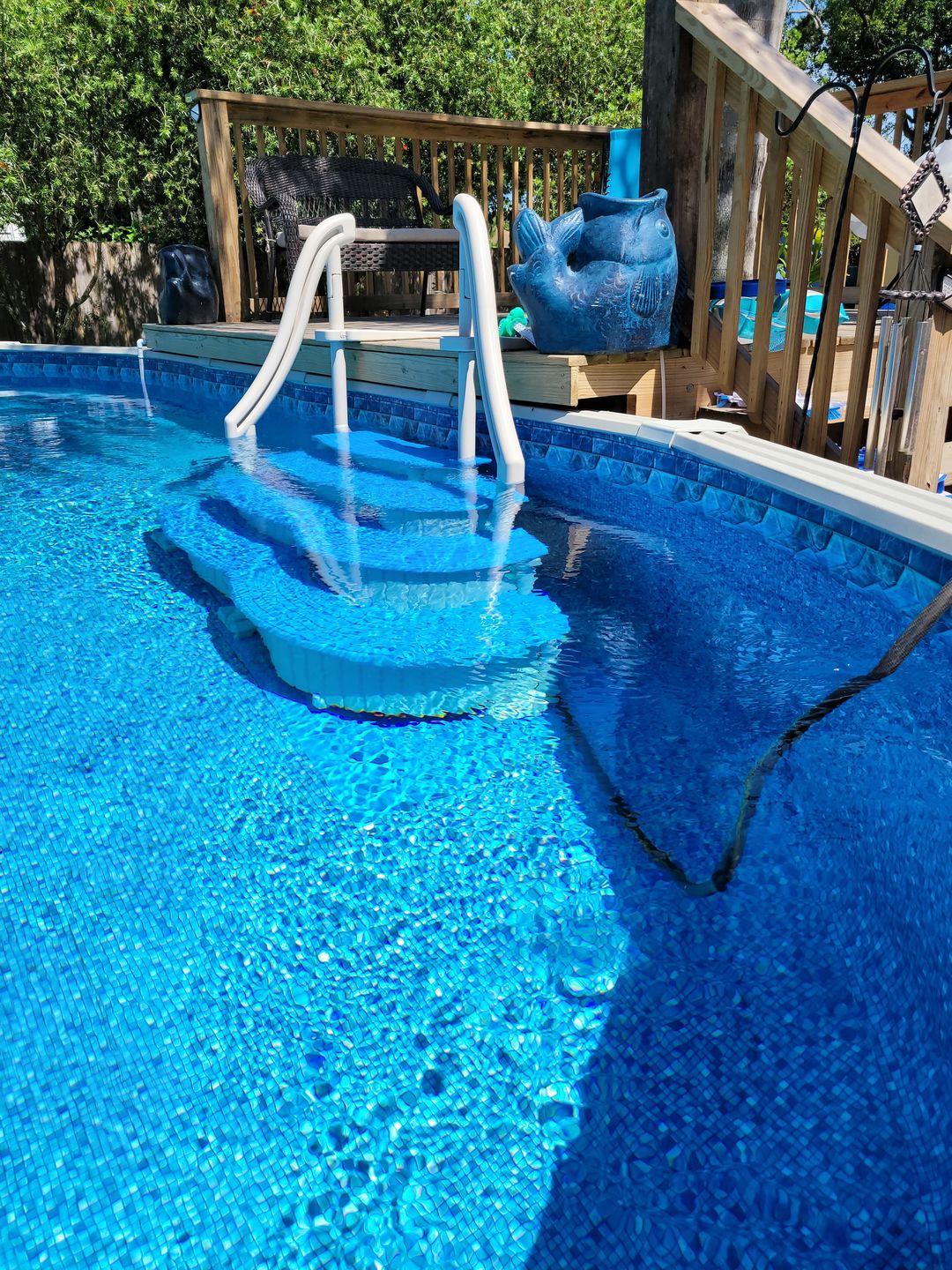 Customer photo review of Pool Frog Torpedo Pac and Mineral Pac  Virtual Bundle Frog