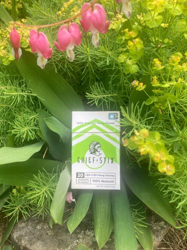 Customer photo review of Chief Stix CBG + CBD Regular Smokes (20ct/pack)