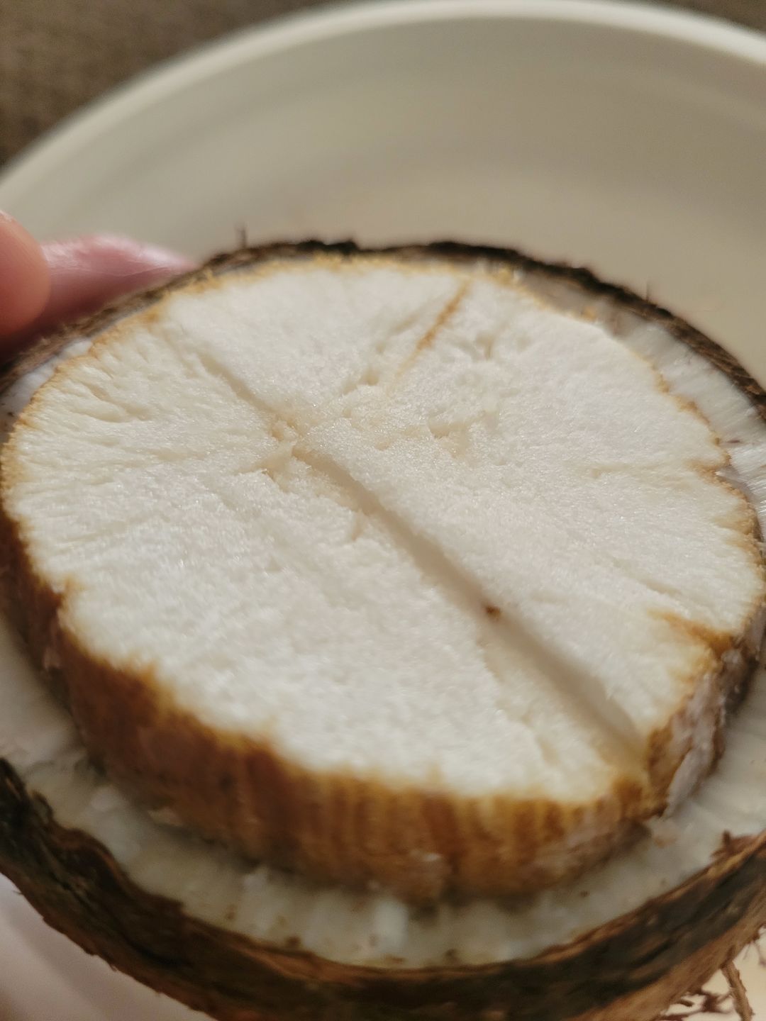 Customer photo review of Sprouted Coconut Box