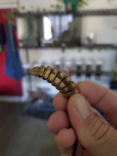 Customer photo review of Brass Rattlesnake Tail Pendant
