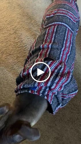 Customer video review of Playa Poncho
