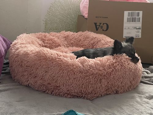 Customer photo review of Puppery Kuschelbett - Das Original