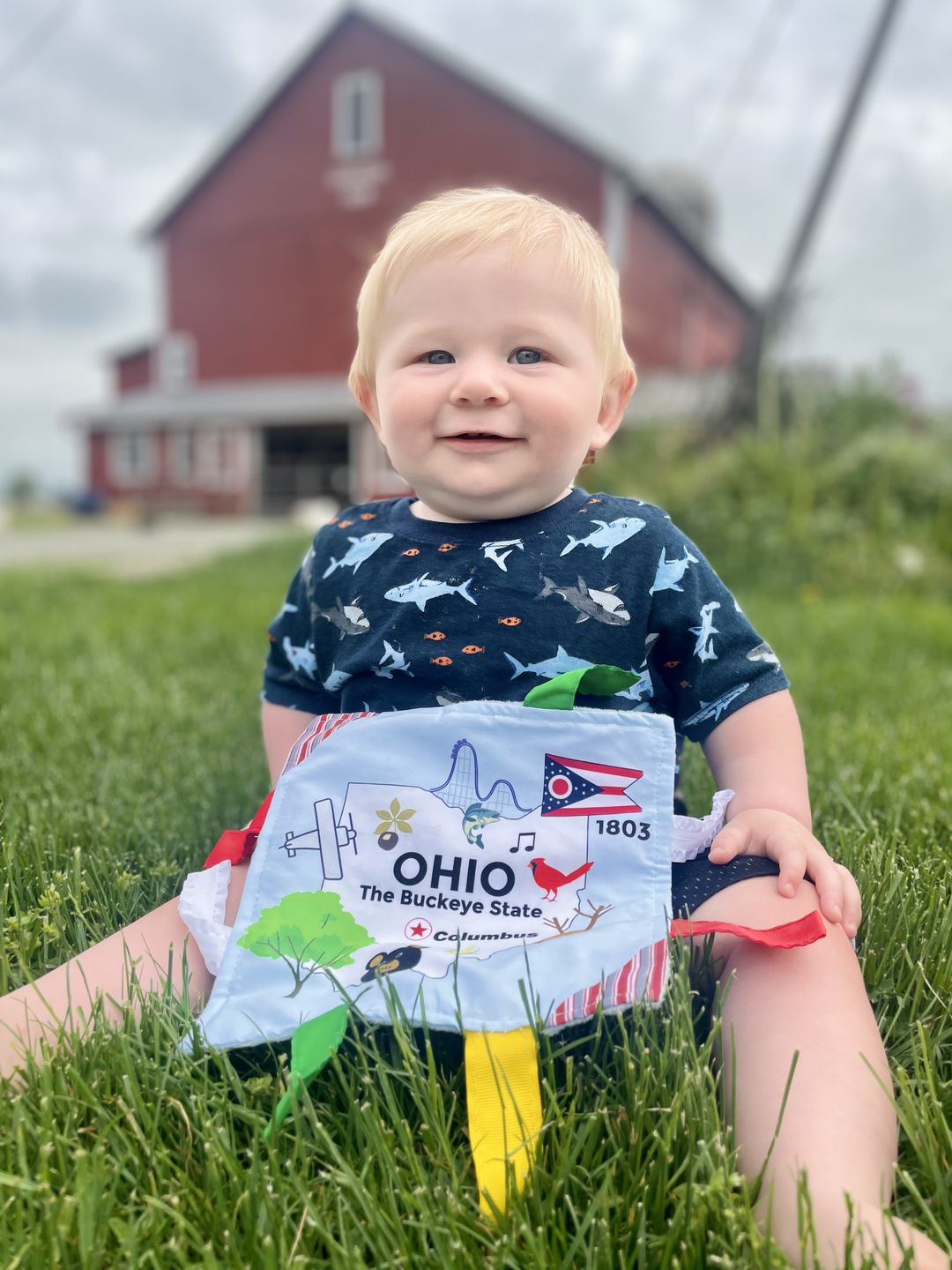 Customer photo review of Ohio State Tag Toy Crinkle Square That Teaches Facts