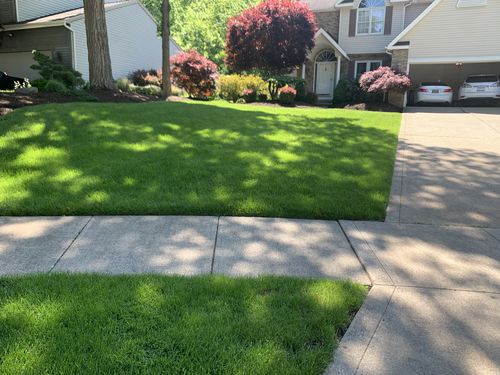 Customer photo review of Protene Performance Spring Fertilizer