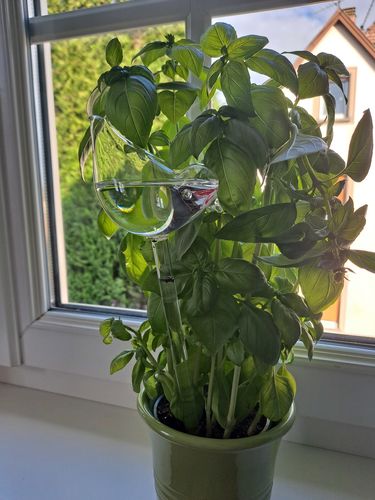 Customer photo review of Mon petit oiseau - Le Jardin de Mamie®