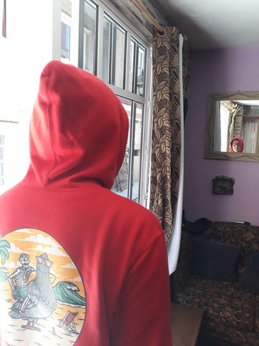 Customer photo review of Hoodie Ride A Pigeon