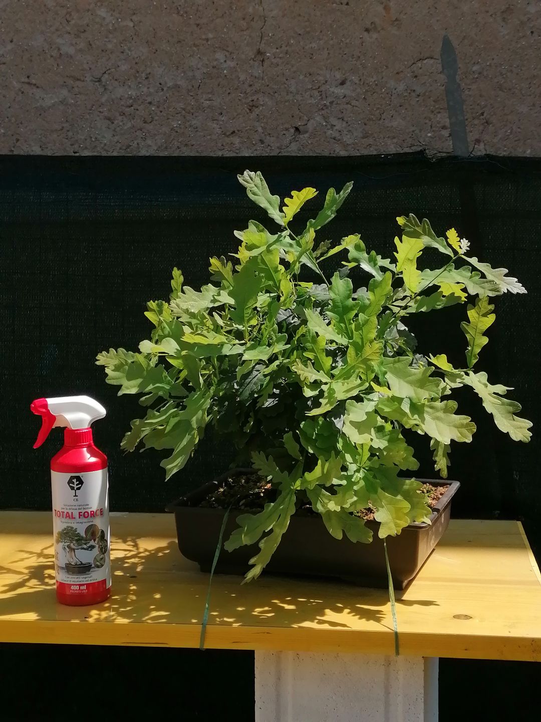 Customer photo review of TOTAL FORCE CB® X3