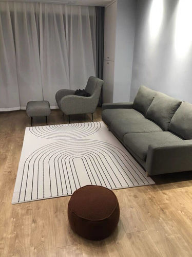 Customer photo review of Simple irregular rug, living room area rug
