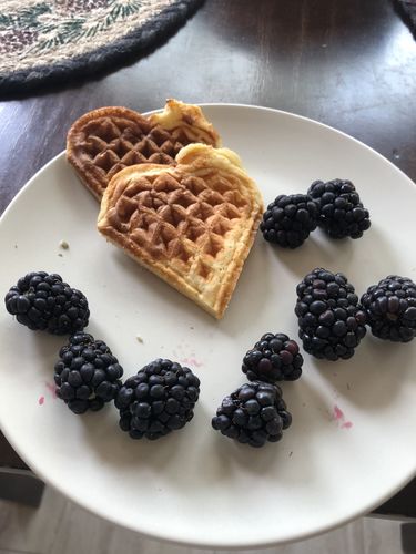 Customer photo review of Low Fat Vanilla Viking Waffles 5.00% Off Auto renew