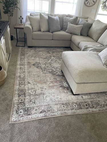 Customer photo review of Distressed Vintage Cezanne Blush Area Rug