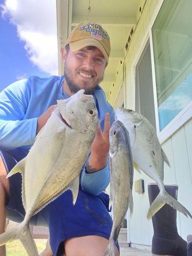 Customer photo review of Headbanger Spitfire 6.5"