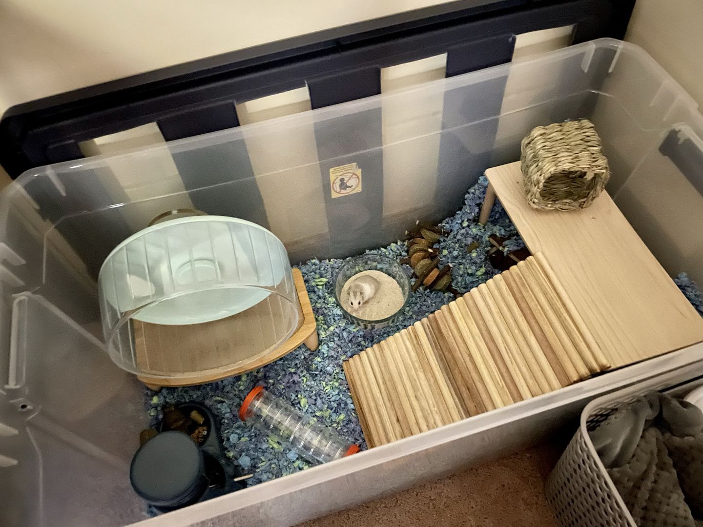 Customer photo review of Niteangel Super-Silent Hamster Exercise Wheels