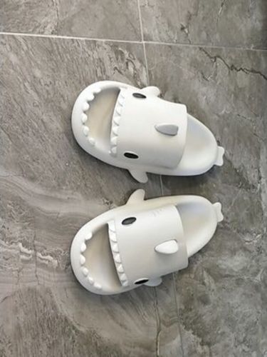 Customer photo review of Shark Slippers 2.0
