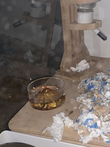 Customer photo review of Niteangel Hamster Feeding & Water Bowls - Small Animal Glass Drinking Bowls for Dwarf Syrian Hamsters Gerbils Mice Rats or Other Similar-Sized Small Pets