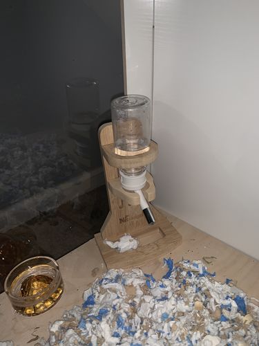Customer photo review of Niteangel Water Bottle with Stand for Small pet Rodents