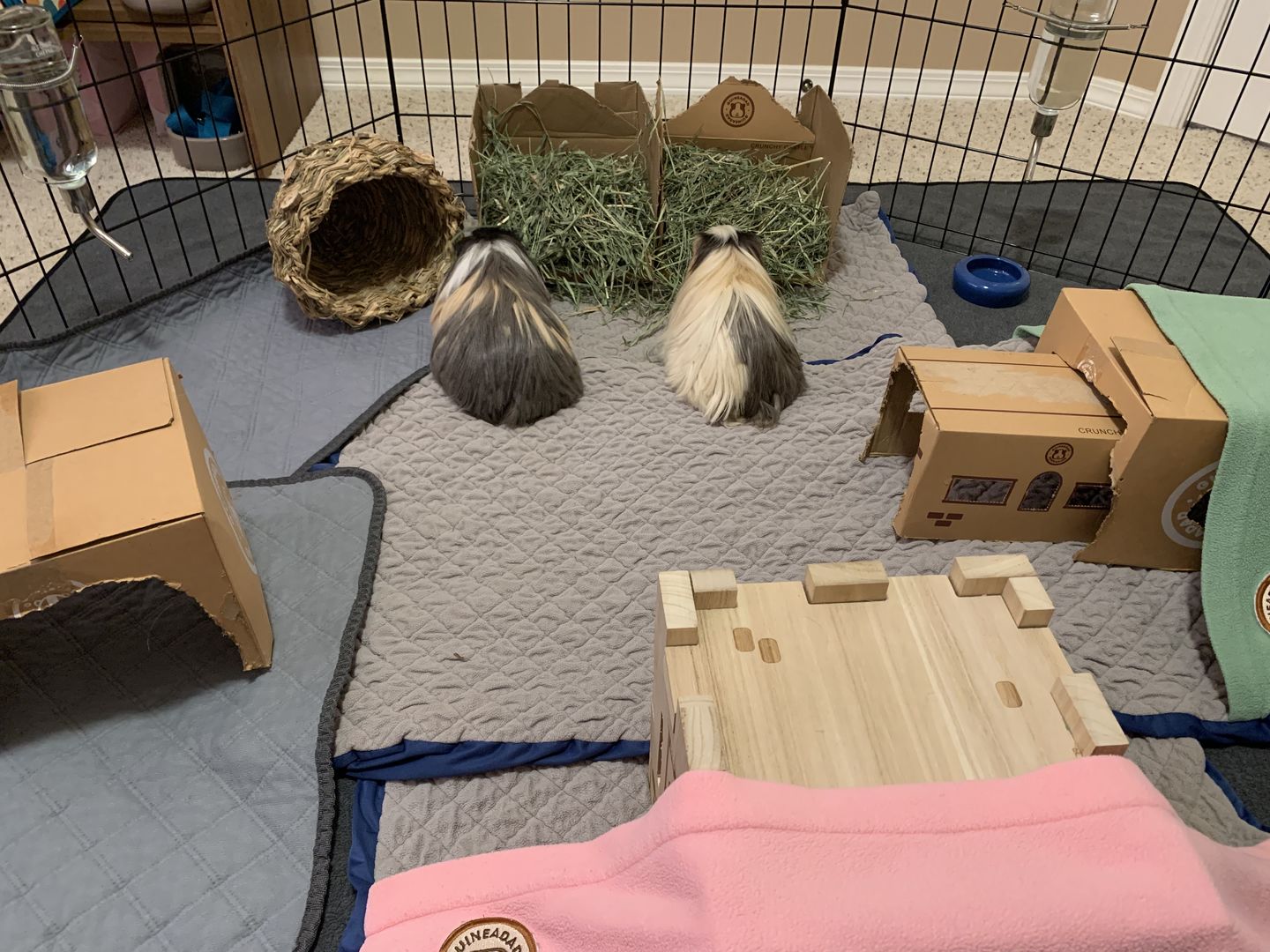 Customer photo review of GuineaDad Liner - Smaller Size Fleece Liner Without Pockets