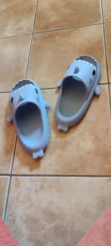 Customer photo review of Shark Slippers 2.0