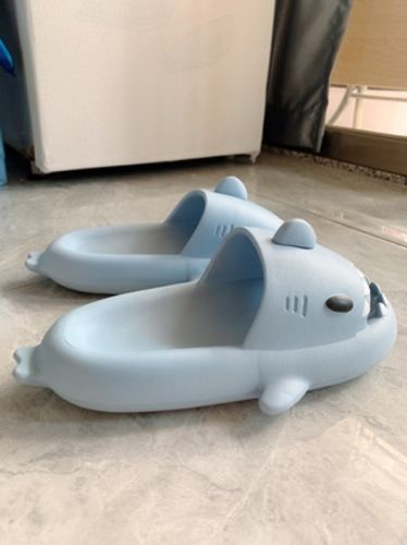 Customer photo review of Shark Slippers 2.0