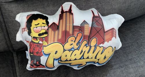 Customer photo review of Create A Custom Anything Pillow
