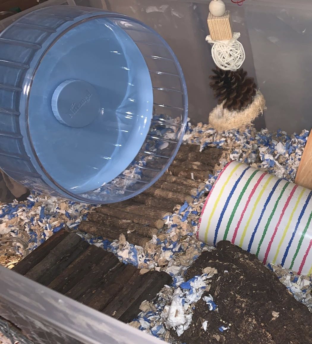 Customer photo review of Niteangel Super-Silent Hamster Exercise Wheels