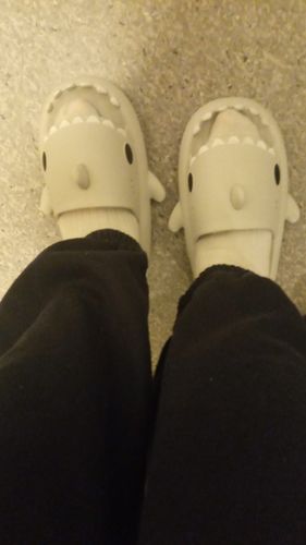 Customer photo review of Shark Slippers 2.0