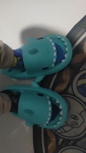 Customer photo review of Shark Slippers 2.0