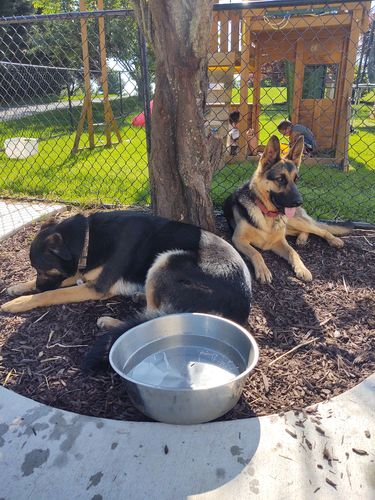 Customer photo review of Pink