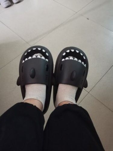 Customer photo review of Shark Slippers 2.0