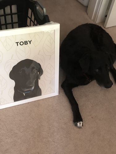 Customer photo review of Custom Pet Poster