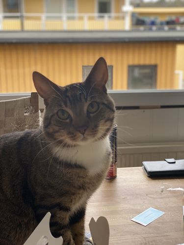 Customer photo review of Custom Love Bracelet