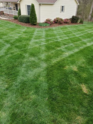Customer photo review of Cool Season Lawn Care Guide