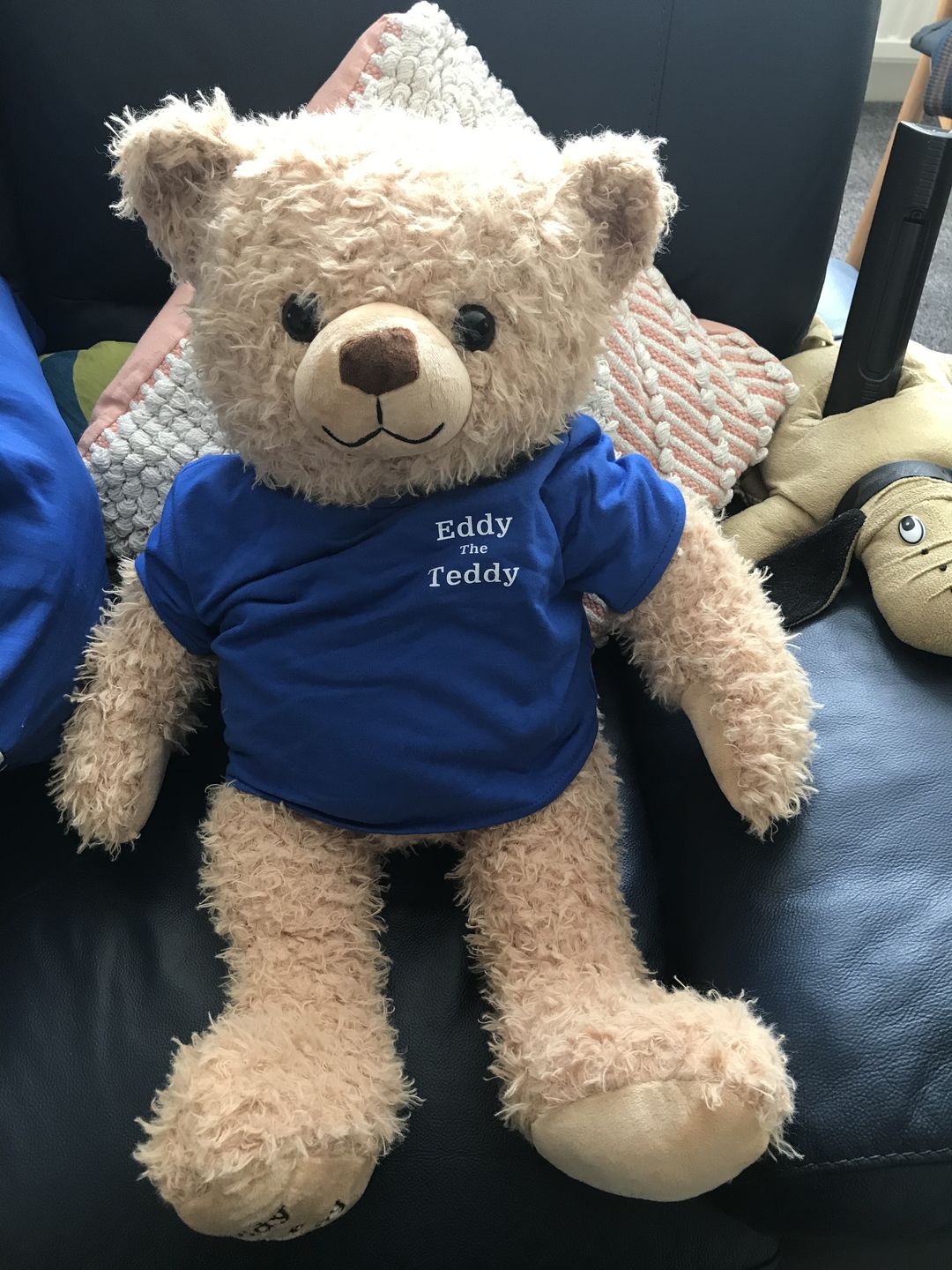 Customer photo review of 65cm Original Eddy the Teddy