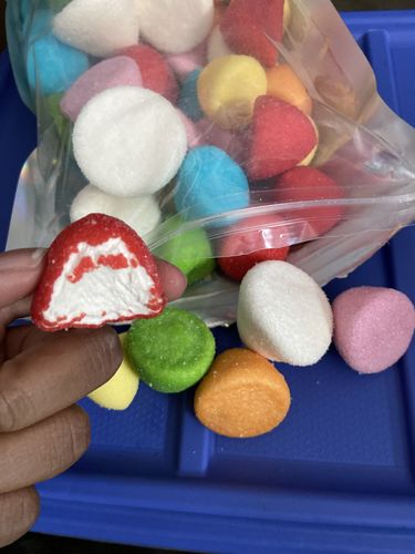 Customer photo review of Paintball Mix