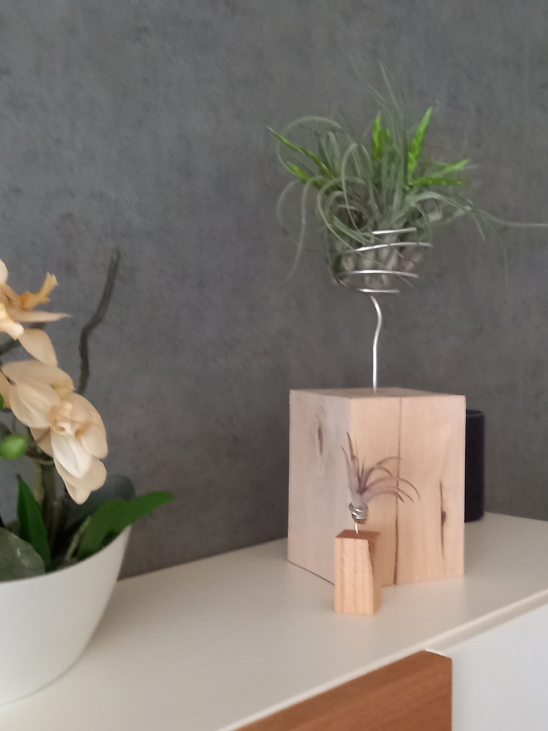 Customer photo review of Tilly Xylo - Gigant